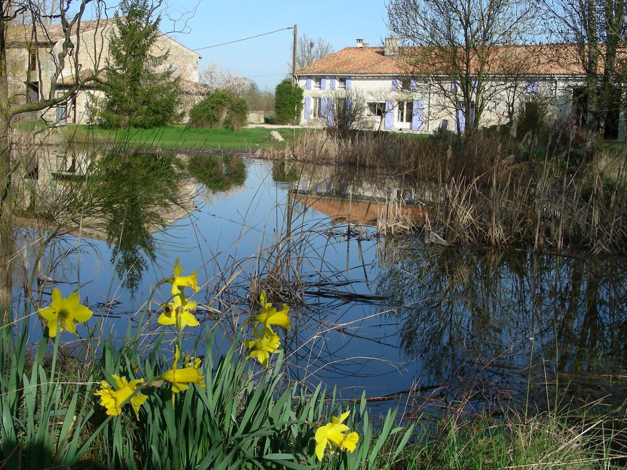 Chambres D'Hotes Entre Niort Et Marais Poitevin Bessines Extérieur photo